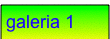 galeria 1