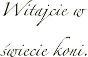 Witajcie w świecie koni.